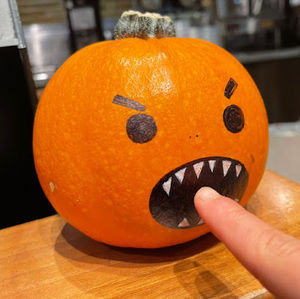 Meet your Posher, Rokey